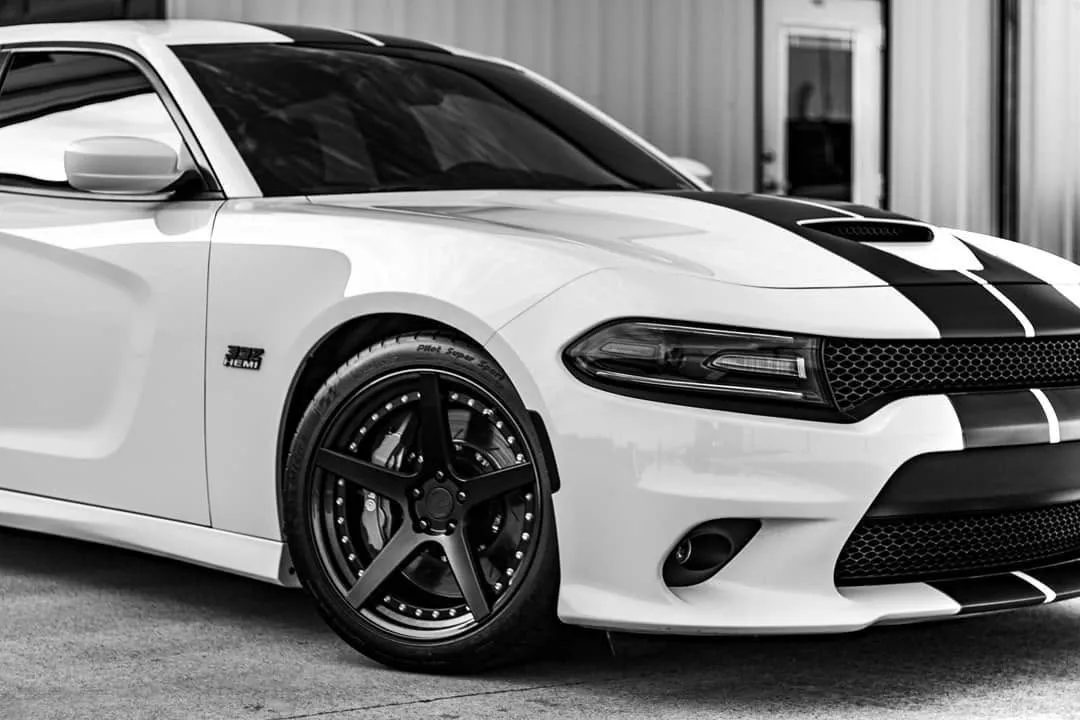 paint protection film arlington tx